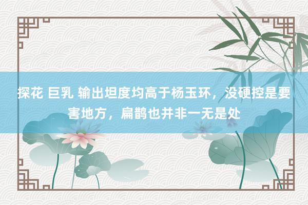 探花 巨乳 输出坦度均高于杨玉环,没硬控是要害地方,扁鹊也并非一无是处