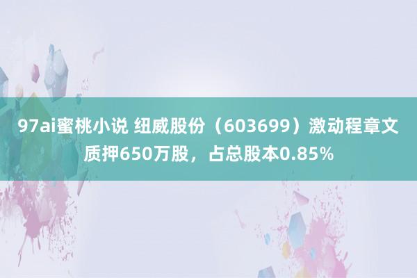 97ai蜜桃小说 纽威股份（603699）激动程章文质押650万股，占总股本0.85%