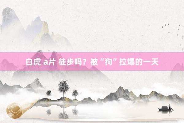 白虎 a片 徒步吗?被“狗”拉爆的一天