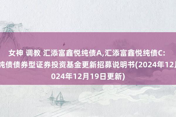 女神 调教 汇添富鑫悦纯债A,汇添富鑫悦纯债C: 汇添富鑫悦纯债债券型证券投资基金更新招募说明书(2024年12月19日更新)