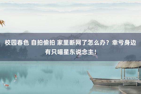 校园春色 自拍偷拍 家里断网了怎么办?幸亏身边有只喵星东说念主!