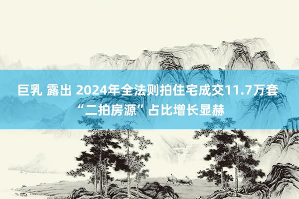 巨乳 露出 2024年全法则拍住宅成交11.7万套 “二拍房源”占比增长显赫