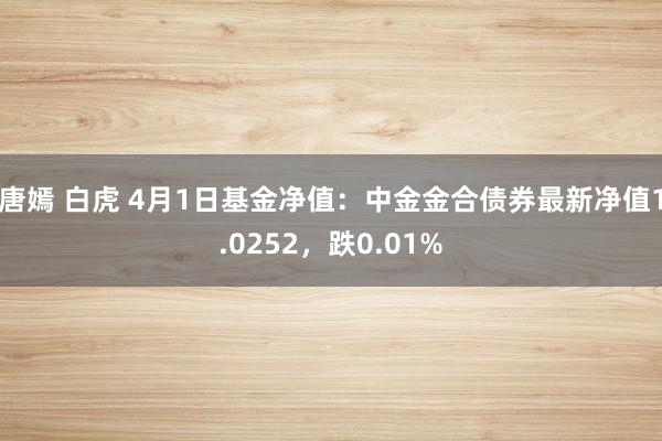 唐嫣 白虎 4月1日基金净值:中金金合债券最新净值1.0252,跌0.01%