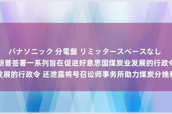 パナソニック 分電盤 リミッタースペースなし 露出・半埋込両用形 特朗普签署一系列旨在促进好意思国煤炭业发展的行政令 还泄露将号召讼师事务所助力煤炭分娩和关税左券事宜