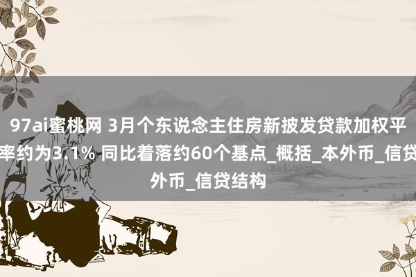 97ai蜜桃网 3月个东说念主住房新披发贷款加权平均利率约为3.1% 同比着落约60个基点_概括_本外币_信贷结构