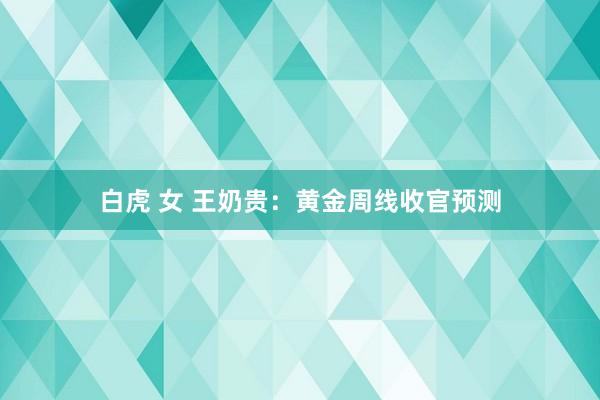 白虎 女 王奶贵:黄金周线收官预测