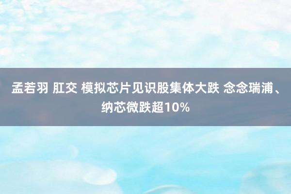 孟若羽 肛交 模拟芯片见识股集体大跌 念念瑞浦、纳芯微跌超10%