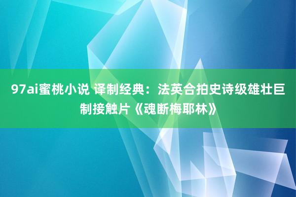 97ai蜜桃小说 译制经典:法英合拍史诗级雄壮巨制接触片《魂断梅耶林》